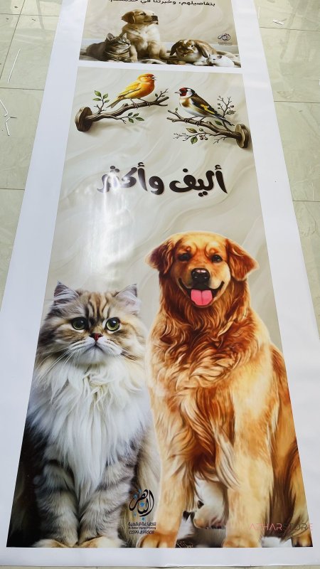 صب الوان كامل